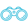 visionIcon